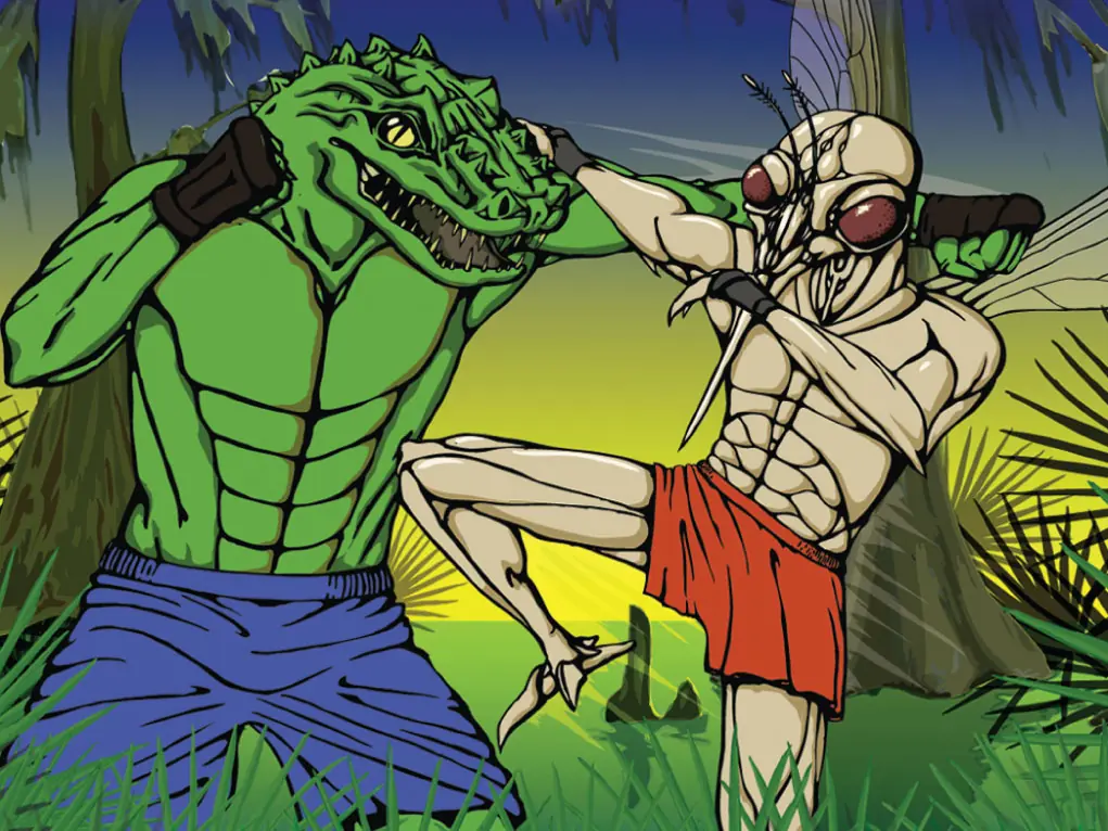 An alligator and a mosquito face off as boxers