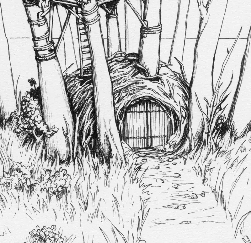 Detail of a door among the tree trunks